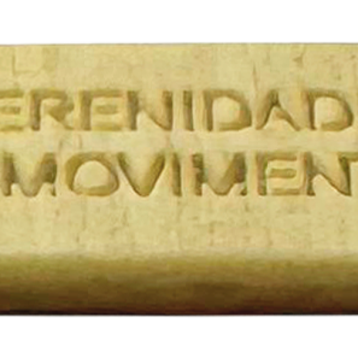 Plaquinha Poliéster